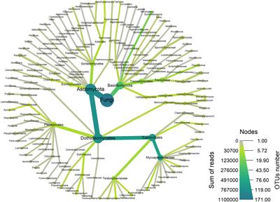 Fungal Communities of Eucalyptus grandis Leaves Are Influenced by the Insect Pest Leptocybe invasa